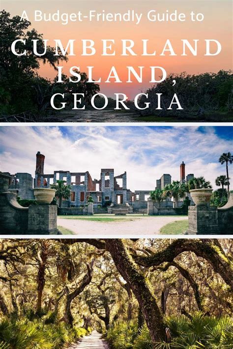 Cumberland Island Travel Tips Info For Gas Best Day Trip Artofit