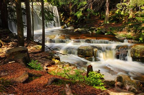 Wild Waterfall In The Forest Water Stream Stones Reflections