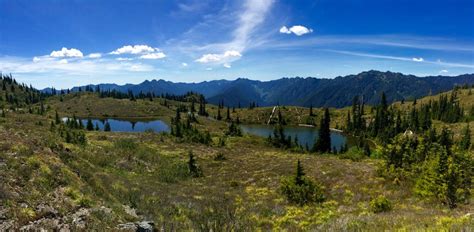 5 Amazing High Alpine Lakes To Explore In Olympic National Park