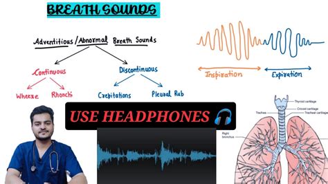 Lung Sounds Normal And Abnormal Wheeze Rhonchi Rales Rub