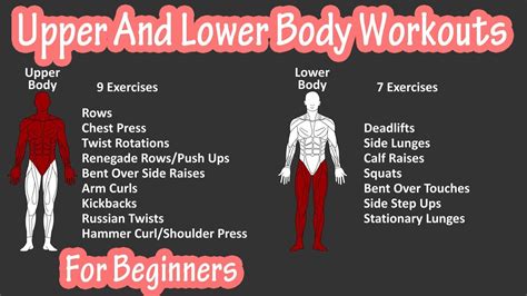 Upper And Lower Full Body Strength Resistance Training Workout Splits