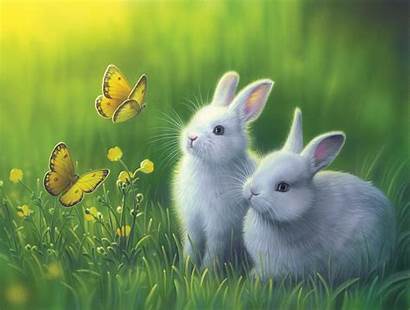 Bunny Rabbit Spring Desktop Yellow Grass