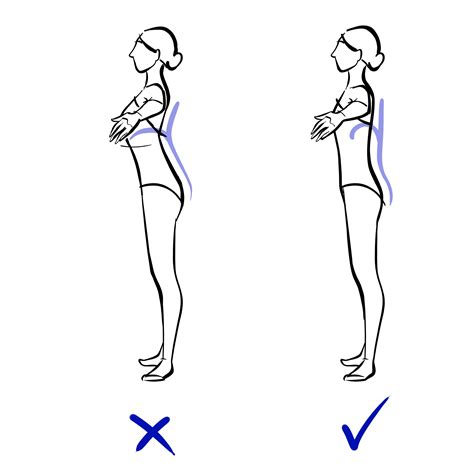 Dance Resource Alignment And Posture Georgina Butler