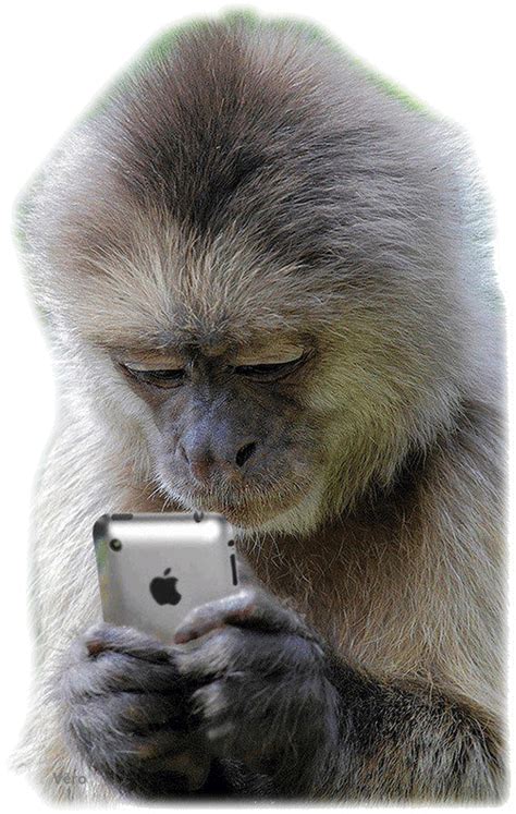 Monkey On Phone Girlfriend Sainted Webcast Picture Galleries
