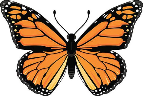 Free 51 Vector Monarch Butterfly Svg Svg Png Eps Dxf File