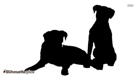 Boxer Dog Sitting Silhouette Image Silhouettepics