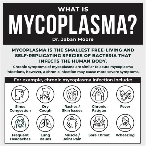 Mycoplasma The Chronically Overlooked Infection — Dr Jaban