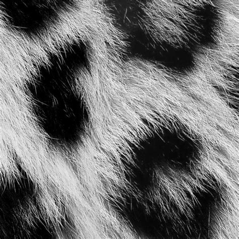 Gray Leopard Faux Fake Fur Animal Texture Seamless 09561