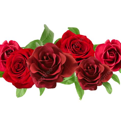 A Collection Of Special Red Flowers Rose Border Rose Wreath Rose Png