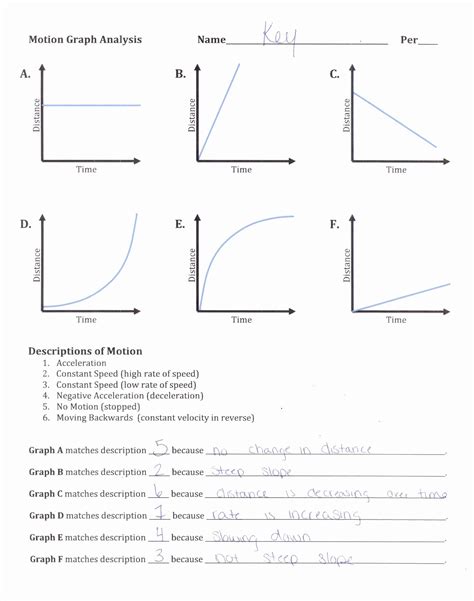Motion Graphs Worksheet Class 9