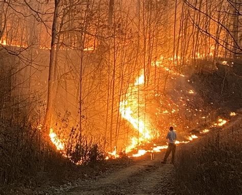 Spring Forest Fire Season Was Busy Wv Metronews