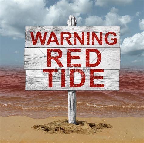 赤潮海滩警告标志作为海洋或海洋中的危险天然毒素作为 D 插图风格的致命天然有毒藻类的概念高清摄影大图 千库网