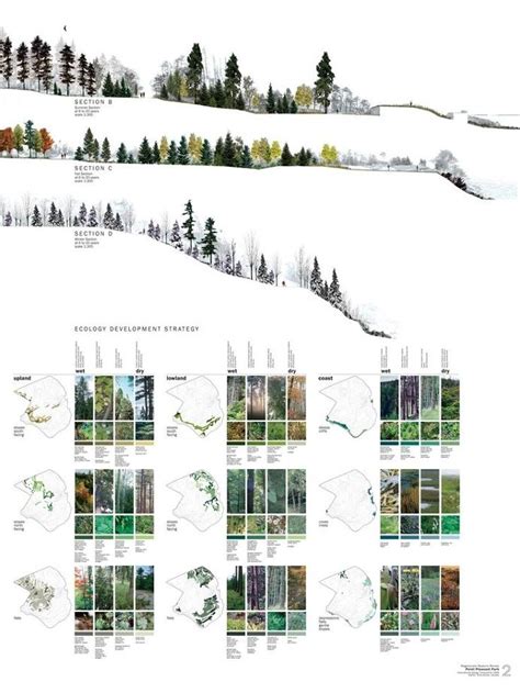 Landscape Architecture Design Diagram Landscape Diagram Landscape