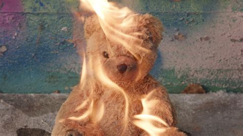 142 Teddy Bear On Fire Stock Video Footage 4k And Hd Video Clips Shutterstock