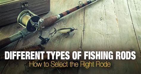 5 Different Types Of Fishing Rods And Their Uses