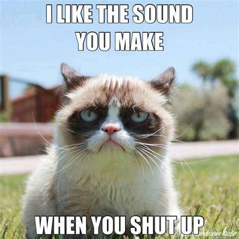 I Like The Sound You Makewhen You Shut Up Grumpy Cat Quotes