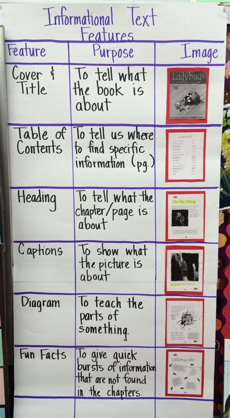 Text Features Chart That Amy Did With Her Nd Graders At Barton Hill Text Features First Grade