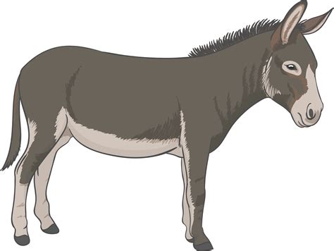 Mule Clipart Transparent Farm Animals Vector Free Transparent Png Images