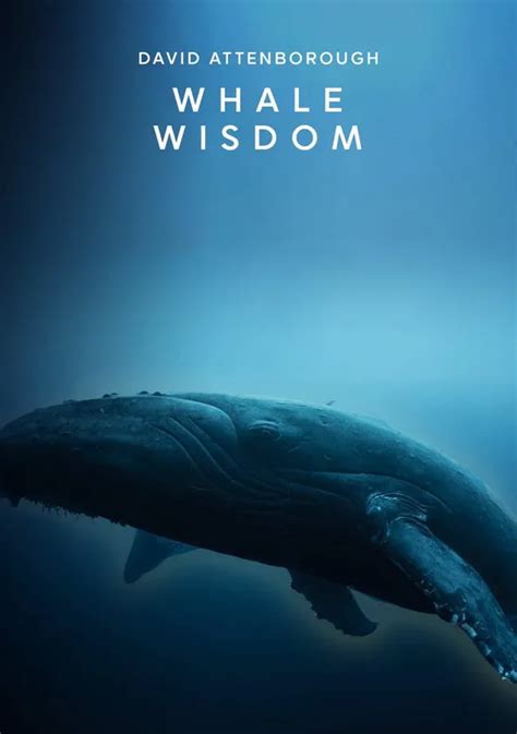Whale Wisdom Filme Veja Onde Assistir Online