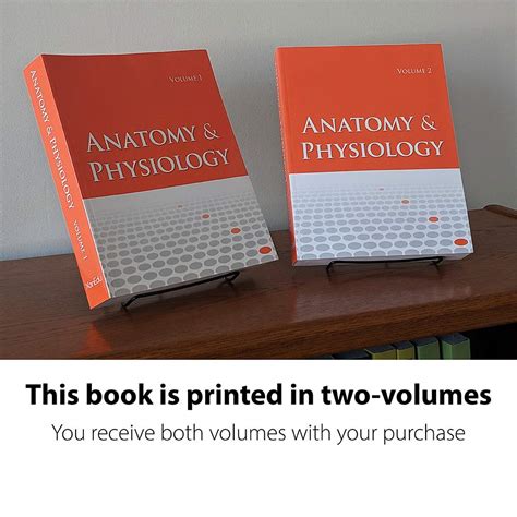 Anatomy And Physiology Openstax Anatomy Diagram Book