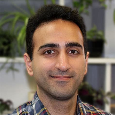 Soroush Safaei Research Associate Phd University Of Auckland