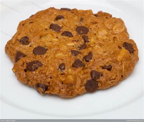 Also dairy free, these cookies are a yummy good idea if you have any of these dietary needs or preferences. Low Fat and Low Calorie Oatmeal Chocolate Chip Cookies Recipe