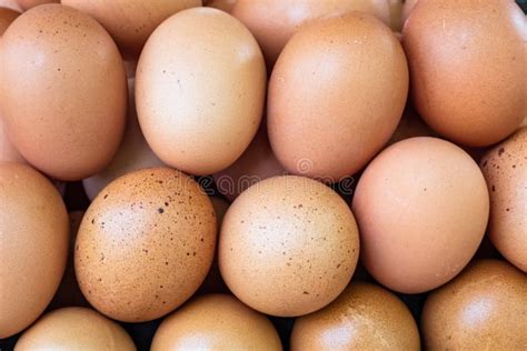 Brown Chicken Eggs Close Up In Farm Stock Image Image Of Food