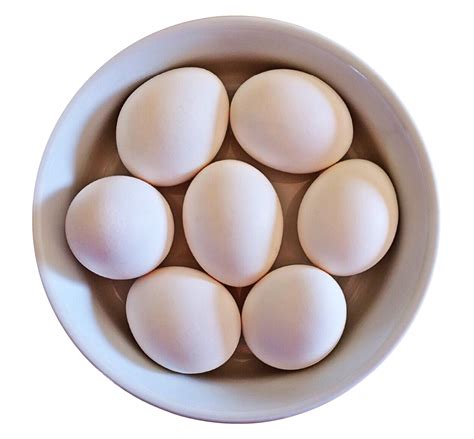 Eggs In Bowl Png Image Purepng Free Transparent Cc0 Png Image Library