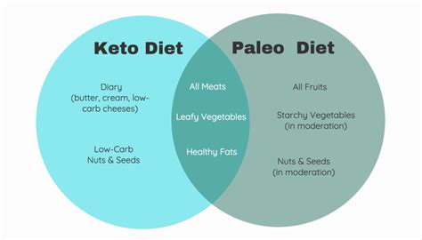 keto vs paleo which diet works better for weight loss extrachai