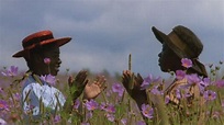 Mohammed Al-Qassimi's Movies: The Color Purple 1985