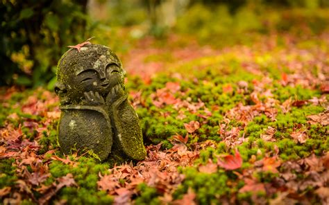 Jeffrey Friedls Blog An Enkoji Temple Fall Foliage Preview