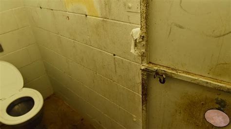 Glory Holes Make Resurgence In Darwin Public Bathrooms Costing