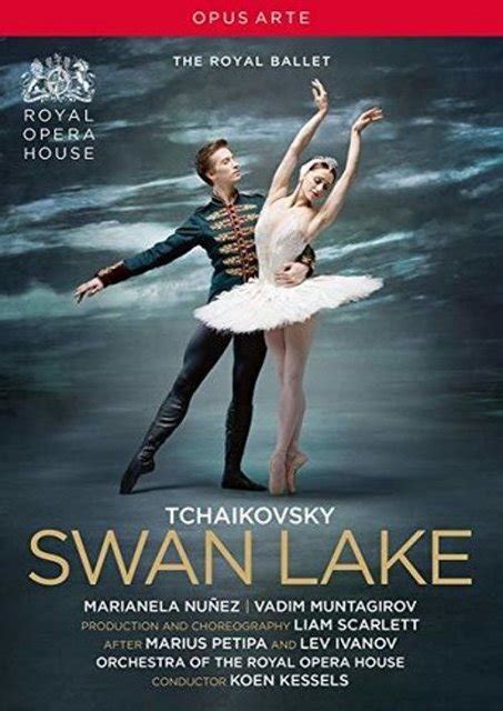 Tchaikovsky Swan Lake Video Dvd Best Buy