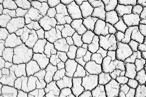 Soil Crack Texture Background Stock Photo - Download Image Now - iStock