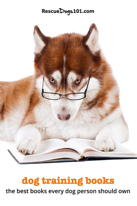 29 Best Dog Training Books For Your Rescue Dog