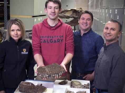 Palaeontologists Discover New Species Of Meat Eating Dinosaur In Canada Herald Sun