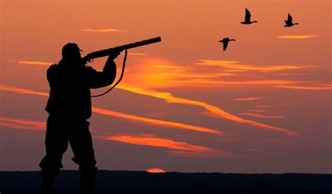 Duck Hunter Accused Of Shooting At Other Hunters