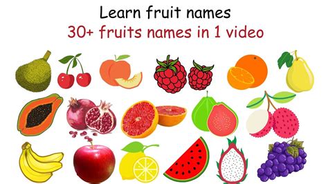 30 Fruits Nameslearn Fruit Namesenglish Vocabulary Youtube
