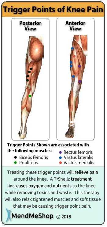 Start studying lower leg muscles/ligaments. Pin on Compound Exercises