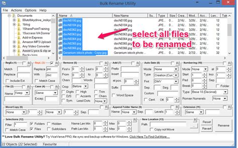 Windows Bulk File Rename Utility Hopdemovers