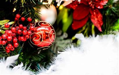 Wallpapers Christmas Tree Snow Background Screen Ball