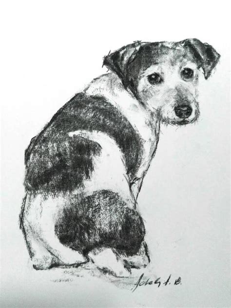 Dog Charcoal Drawing At Explore Collection Of Dog