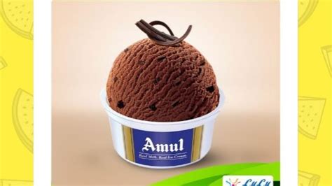 Your search ends here with the best ice cream in india list we have for you. Top 10 Best Ice Creams Brands in India (2021) - VisitBest