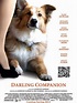 Poster zum Film Darling Companion - Ein Hund fürs Leben - Bild 18 auf ...
