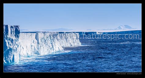 Drygalski Ice Tongue Floating Glacier Tongue From The David Glacier