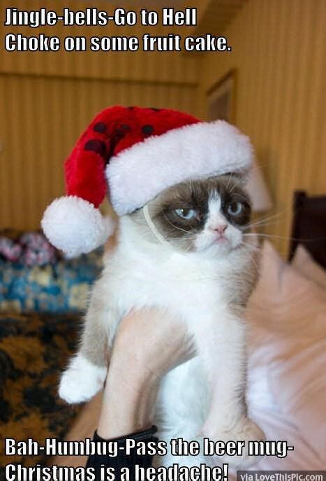 Funny Grumpy Cat Christmas Meme Pictures Photos And Images For