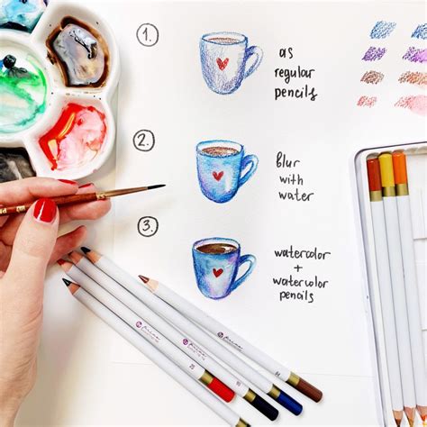 Guide How To Use Watercolor Pencils Watercolor Pencils Art