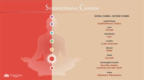 Sacral Chakra All You Need To Know About Svadhishthana