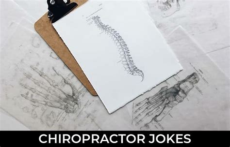 56 Cheerful Chiropractor Jokes Halloween Chiropractor Chiropractor Birthday Jokes