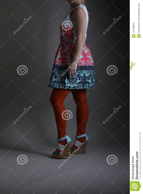 Elegant Colored Dress For Women In Studio Stock Image Image Of